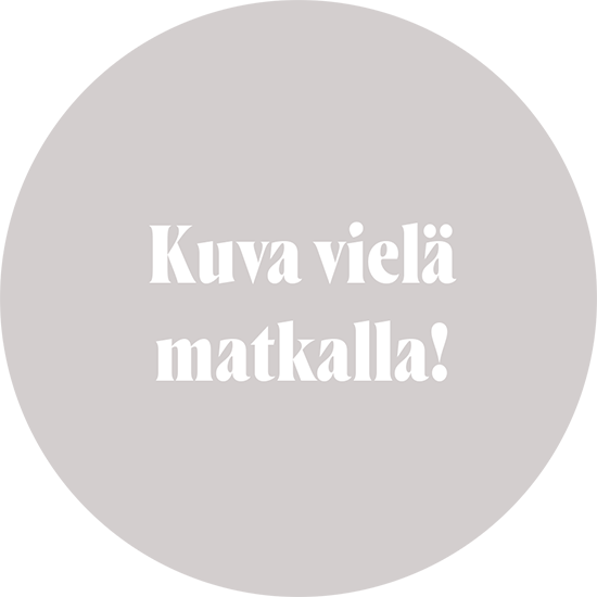 Kuva tulossa